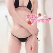 ヒメ日記 2025/04/05 13:30 投稿 かな 天空のマット