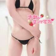 ヒメ日記 2025/09/06 15:33 投稿 かな 天空のマット