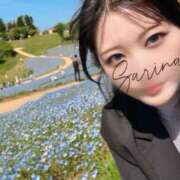 ヒメ日記 2025/05/15 08:15 投稿 さりな ノース -North-