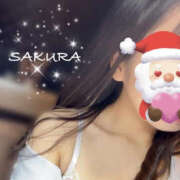 ヒメ日記 2024/12/11 10:00 投稿 さくら バッドカンパニー土浦店