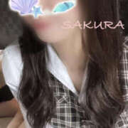 ヒメ日記 2025/04/19 14:53 投稿 さくら バッドカンパニー土浦店