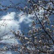 ヒメ日記 2025/03/31 10:09 投稿 ねね eroina