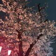 ヒメ日記 2025/04/08 09:17 投稿 ねね eroina