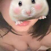 ヒメ日記 2025/04/30 09:13 投稿 ねね eroina