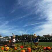 ヒメ日記 2025/10/08 20:52 投稿 ねね eroina