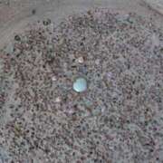 ヒメ日記 2026/10/13 10:35 投稿 ねね eroina