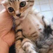 ヒメ日記 2025/07/05 11:26 投稿 今野里美 五十路マダム 仙台店