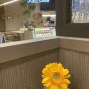 今野里美 明けましておめでとうございます? 五十路マダム 仙台店