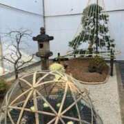 ヒメ日記 2025/03/12 21:49 投稿 りおな チェックイン素人専門大人女子