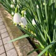 ヒメ日記 2025/04/05 21:39 投稿 りおな チェックイン素人専門大人女子