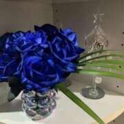 ヒメ日記 2025/04/06 21:39 投稿 りおな チェックイン素人専門大人女子