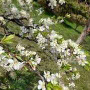 ヒメ日記 2025/04/09 21:39 投稿 りおな チェックイン素人専門大人女子