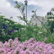 ヒメ日記 2025/06/08 21:39 投稿 りおな チェックイン素人専門大人女子