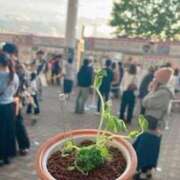 ヒメ日記 2025/06/11 21:39 投稿 りおな チェックイン素人専門大人女子