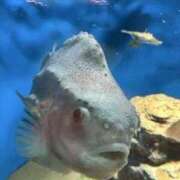 ヒメ日記 2025/07/09 21:49 投稿 りおな チェックイン素人専門大人女子