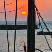 ヒメ日記 2025/04/02 19:01 投稿 ひじり ちゃんこ長野塩尻北IC店