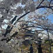 ヒメ日記 2025/04/15 19:21 投稿 ひじり ちゃんこ長野塩尻北IC店