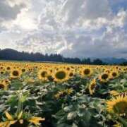 ヒメ日記 2025/08/20 23:51 投稿 ひじり ちゃんこ長野塩尻北IC店