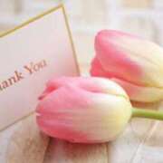 ヒメ日記 2025/12/04 00:11 投稿 ひじり ちゃんこ長野塩尻北IC店