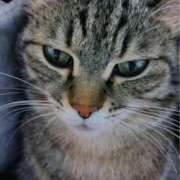 ヒメ日記 2024/12/13 18:40 投稿 りん スピードエコ天王寺店