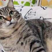 ヒメ日記 2024/12/13 23:10 投稿 りん スピードエコ天王寺店