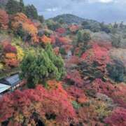 ヒメ日記 2024/12/16 02:20 投稿 りん スピードエコ天王寺店