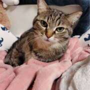 ヒメ日記 2024/12/16 18:20 投稿 りん スピードエコ天王寺店