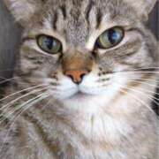 ヒメ日記 2024/12/17 04:10 投稿 りん スピードエコ天王寺店