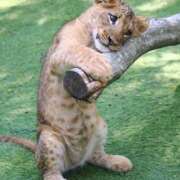 ヒメ日記 2024/12/17 20:30 投稿 りん スピードエコ天王寺店