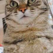 ヒメ日記 2024/12/18 02:20 投稿 りん スピードエコ天王寺店