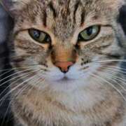 ヒメ日記 2024/12/19 11:30 投稿 りん スピードエコ天王寺店