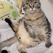 ヒメ日記 2024/12/19 17:30 投稿 りん スピードエコ天王寺店