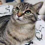 ヒメ日記 2024/12/19 18:51 投稿 りん スピードエコ天王寺店