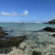 ヒメ日記 2024/12/20 19:20 投稿 りん スピードエコ天王寺店