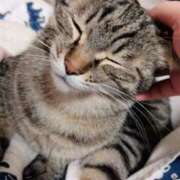 ヒメ日記 2024/12/23 15:01 投稿 りん スピードエコ天王寺店