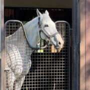 ヒメ日記 2024/12/23 19:20 投稿 りん スピードエコ天王寺店