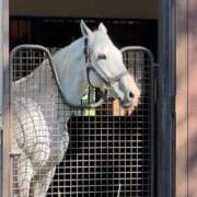 ヒメ日記 2024/12/24 17:40 投稿 りん スピードエコ天王寺店