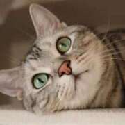 ヒメ日記 2024/12/24 23:30 投稿 りん スピードエコ天王寺店