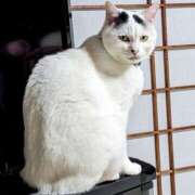 ヒメ日記 2024/12/25 19:40 投稿 りん スピードエコ天王寺店