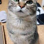 ヒメ日記 2024/12/27 04:20 投稿 りん スピードエコ天王寺店