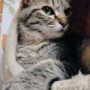 ヒメ日記 2024/12/31 00:20 投稿 りん スピードエコ天王寺店