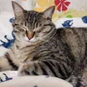 ヒメ日記 2024/12/31 21:00 投稿 りん スピードエコ天王寺店