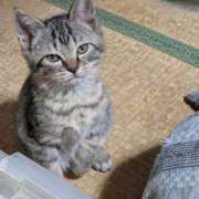 ヒメ日記 2025/01/01 03:10 投稿 りん スピードエコ天王寺店