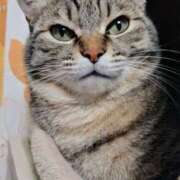 ヒメ日記 2025/01/01 21:00 投稿 りん スピードエコ天王寺店