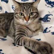 ヒメ日記 2025/01/02 02:20 投稿 りん スピードエコ天王寺店