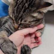 ヒメ日記 2025/01/03 13:30 投稿 りん スピードエコ天王寺店