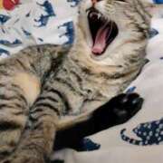 ヒメ日記 2025/01/04 14:10 投稿 りん スピードエコ天王寺店