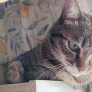 ヒメ日記 2025/01/04 22:40 投稿 りん スピードエコ天王寺店