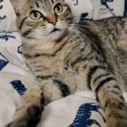 ヒメ日記 2025/01/05 18:50 投稿 りん スピードエコ天王寺店