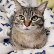 ヒメ日記 2025/01/08 10:17 投稿 りん スピードエコ天王寺店